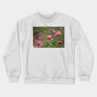 Fuchsia Ranunculus Crewneck Sweatshirt